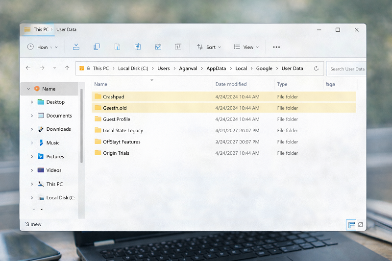 resetting-google-chrome-user-data-default-folder-windows